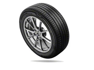 Nexen Roadian GTX Tire (29" - P255/45R20)