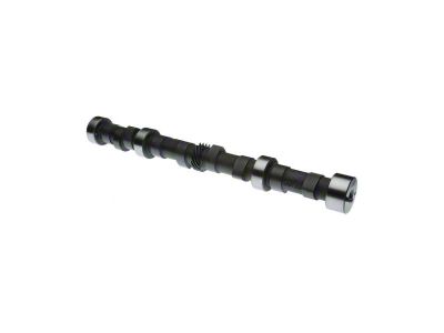 Camshaft (97-02 2.5L Jeep Wrangler TJ)