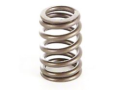 Valve Spring (87-95 Jeep Wrangler YJ)
