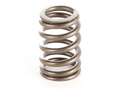 Valve Spring (87-95 Jeep Wrangler YJ)