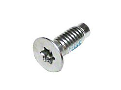 Windshield Hinge Screw (87-95 Jeep Wrangler YJ)