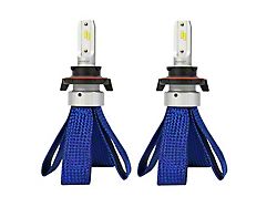 Putco Nitro-Lux LED Fog Light Bulbs; 9006 (03-24 4Runner)