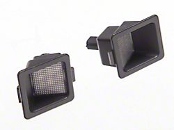 Raxiom Axial Series LED License Plate Lamps (16-24 Titan XD)