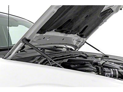 Rough Country Hydraulic Hood Assist (05-21 Frontier)