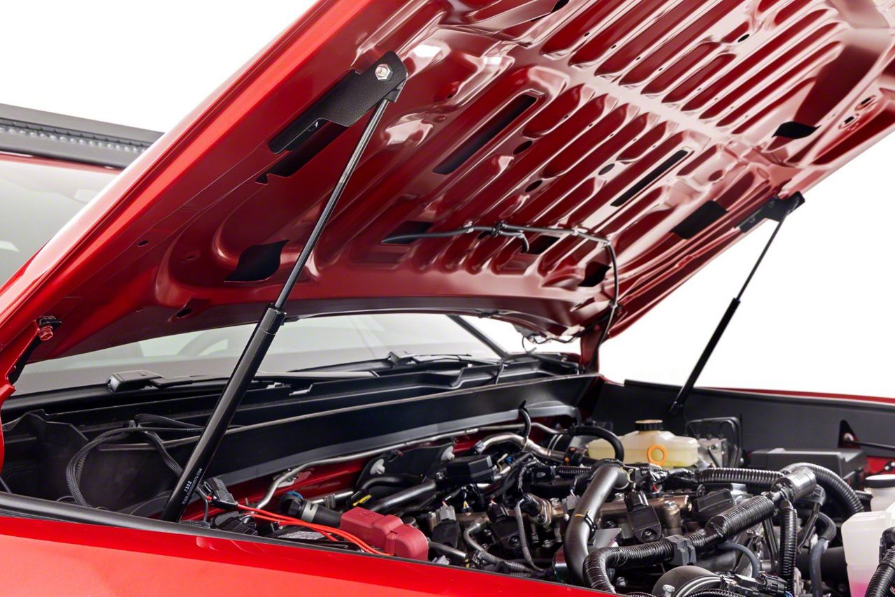 2024 Toyota Hoods & Hood Struts ExtremeTerrain