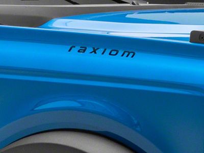 SEC10 Raxiom Hood Decal; Black (Universal; Some Adaptation May Be Required)