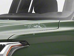 SEC10 Small Pirate Compass Decals; Silver (Universal; Some Adaptation May Be Required)