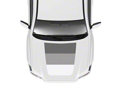 Taco Vinyl Hood Stamp Decal; Gray (16-23 Tacoma SR5, TRD Off-Road)