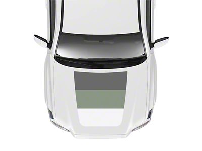 Taco Vinyl Hood Stamp Decal; Lunar Rock (16-23 Tacoma SR5, TRD Off-Road)