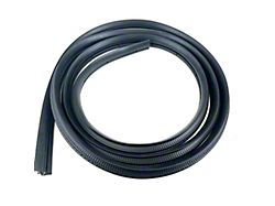 Front Door Seal on Body; Passenger Side (05-15 Tacoma Access Cab)