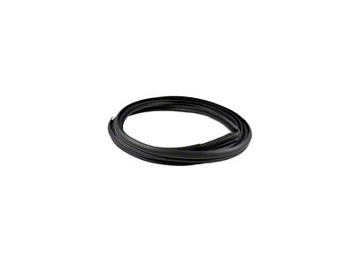 Front Door Seal on Body; Passenger Side (16-23 Tacoma Double Cab)