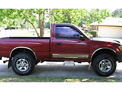 Long Style Fender Trim Set; Polished (95-04 4WD Tacoma w/o Factory Fender Flares)