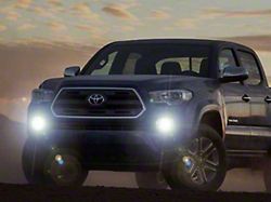 Xenon Halogen Fog Lights (16-19 Tacoma)