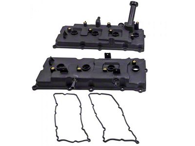 Valve Cover Set with Gaskets (04-07 Titan)