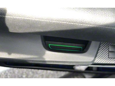 Door Armrest Foam Inserts; Black/Green (14-21 Tundra CrewMax)