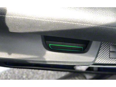 Door Armrest Foam Inserts; Black/Green (14-21 Tundra Double Cab)