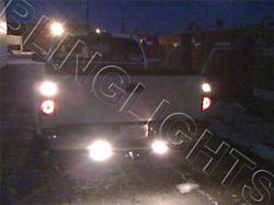 Xenon Halogen Reverse Lights (07-21 Tundra)