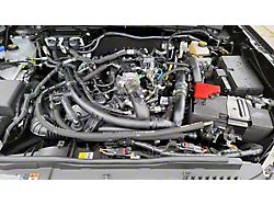 UPR Products Plug N Play Oil Catch Can; Black (21-25 2.7L EcoBoost Bronco)