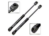 Liftgate Lift Support Struts (10-24 4Runner)