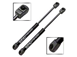 Liftgate Lift Support Struts (10-24 4Runner)