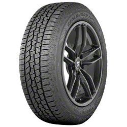 tomomo 4 New Cosmo Muchomacho - 275/35zr20 Tires 2753520 275 35 20