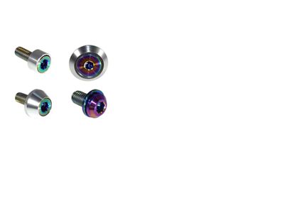 ZSPEC Design Stage 3 Dress Up Bolts Fastener Kit; Titanium and Billet; Burned/Silver (21-25 2.7L EcoBoost Bronco)