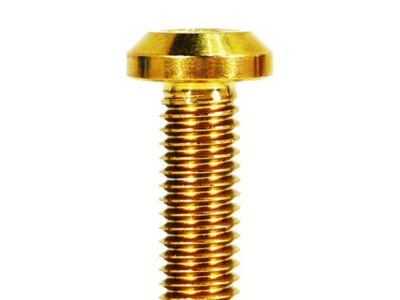 ZSPEC Design Bed Rope Hooks Fastener Kit; Titanium; Gold (05-25 Frontier)
