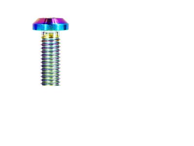 ZSPEC Design Utili-Track Sides and Rear Fastener Kit; Titanium; Burned (05-25 Frontier)